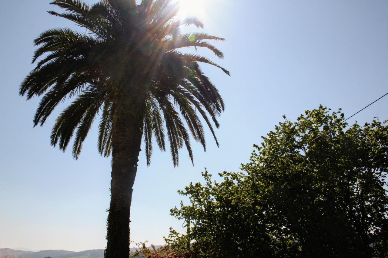 Casa La Palmera Gormazo Eksteriør billede